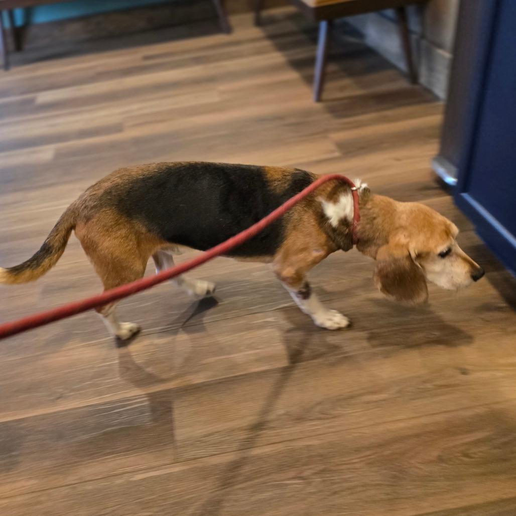 Pilgrim — thumbnail 6