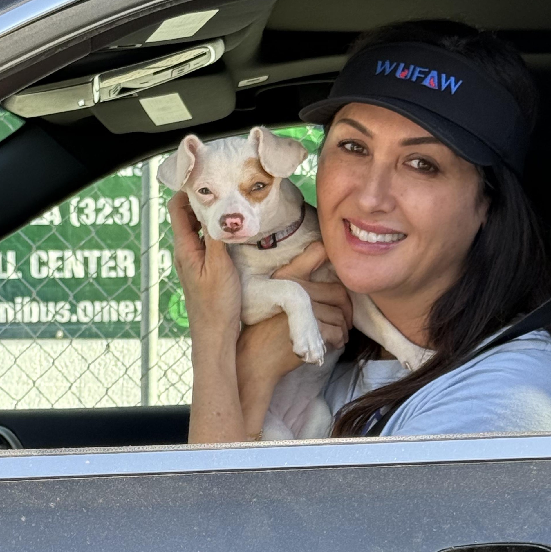 Enlarge January, a ADOPTABLE Chihuahua in Los Angeles, CA image 2/5