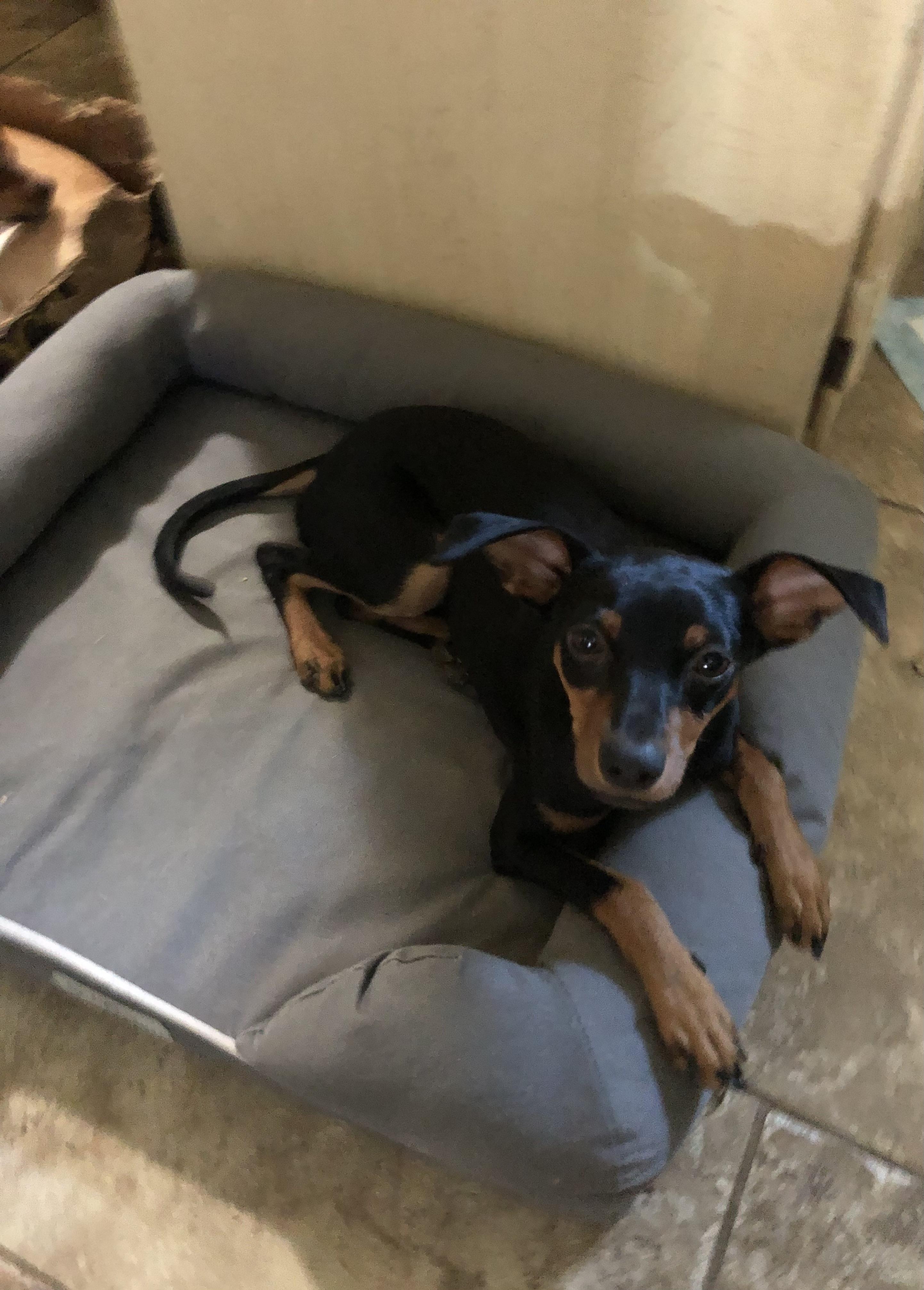Minnie