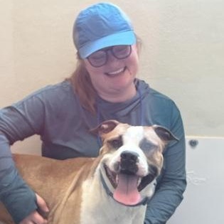 Enlarge AJ, a ADOPTABLE mixed breed in Ithaca, NY image 2/2