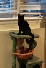 Splice — thumbnail 2