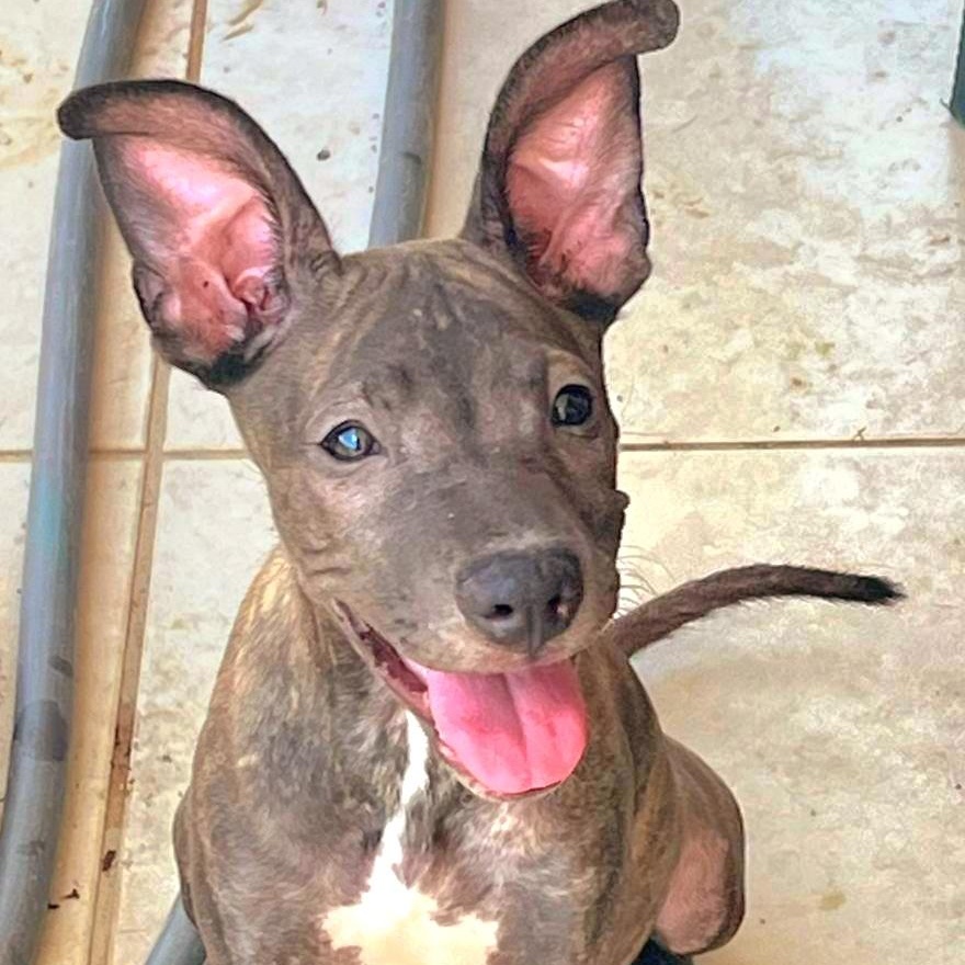 Kira Star "definitely You