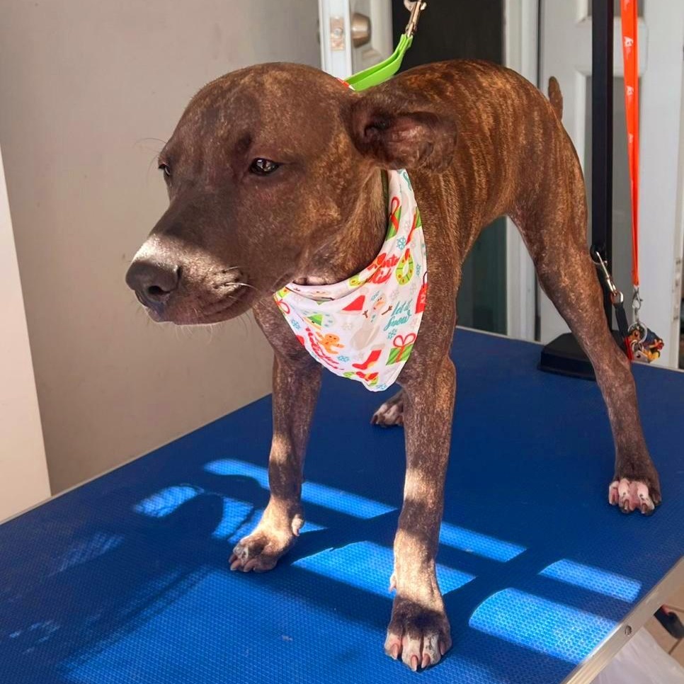 Kira Star "definitely You thumbnail 2