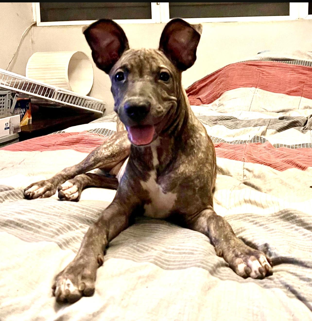 Kira Star "definitely You thumbnail 4