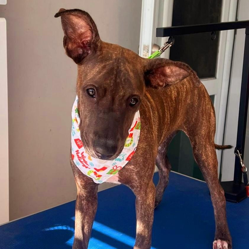 Kira Star "definitely You thumbnail 5