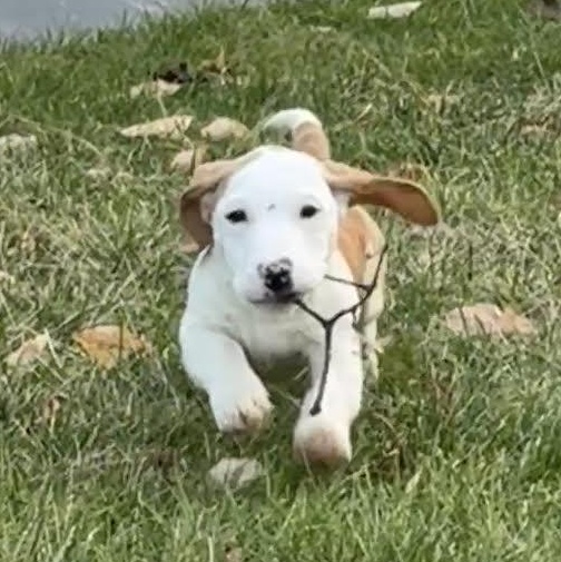 Yosemite thumbnail 3