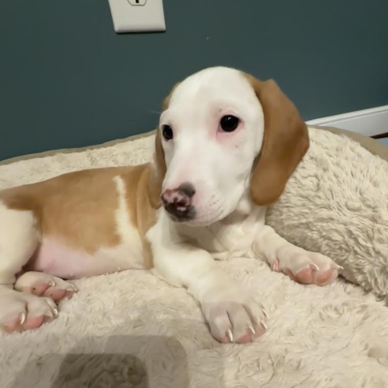 Yosemite thumbnail 4