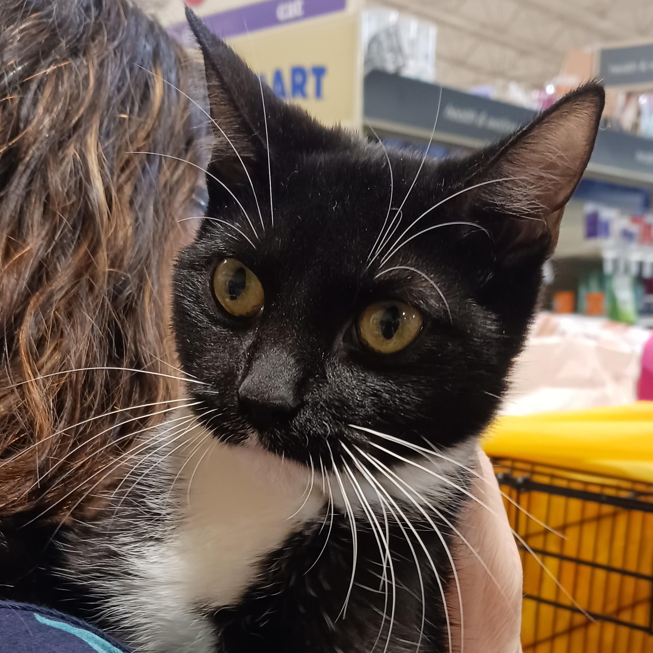 Yuki & Yuma B. - Bonded pair