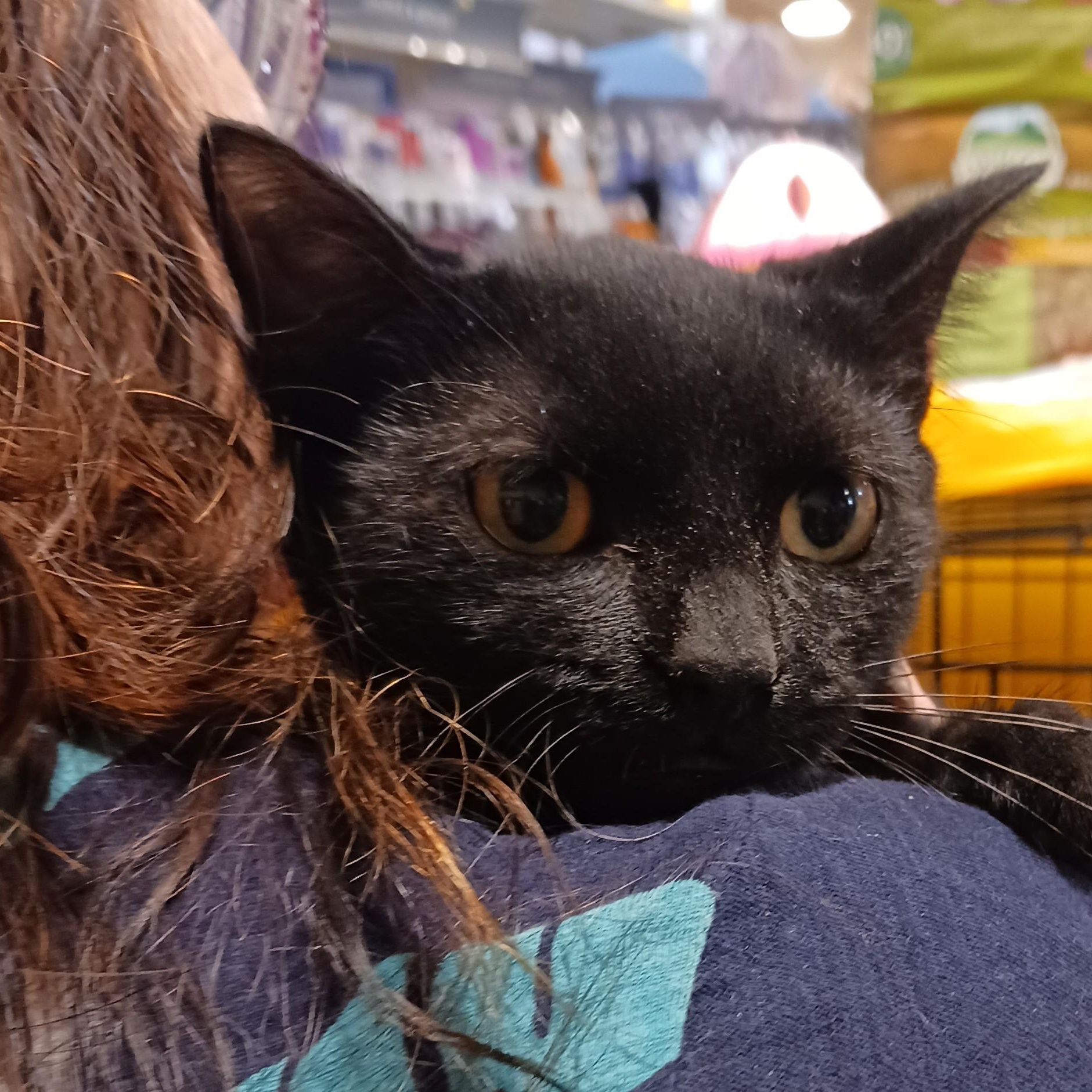 Yuki & Yuma B. - Bonded pair