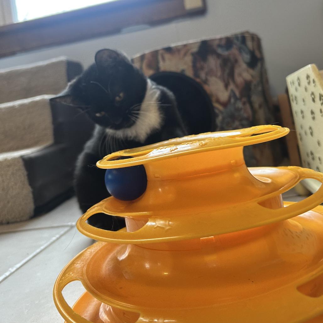 Lida — thumbnail 2