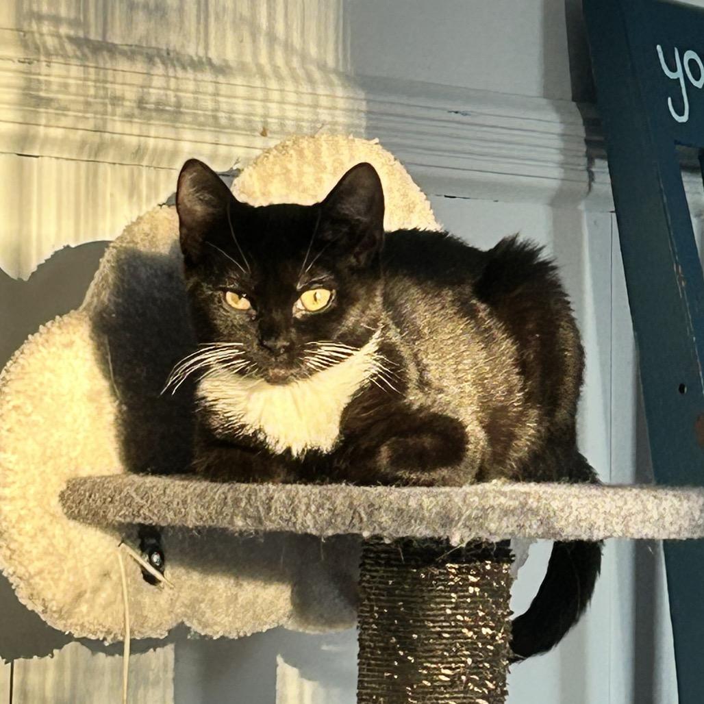 Lida — thumbnail 3