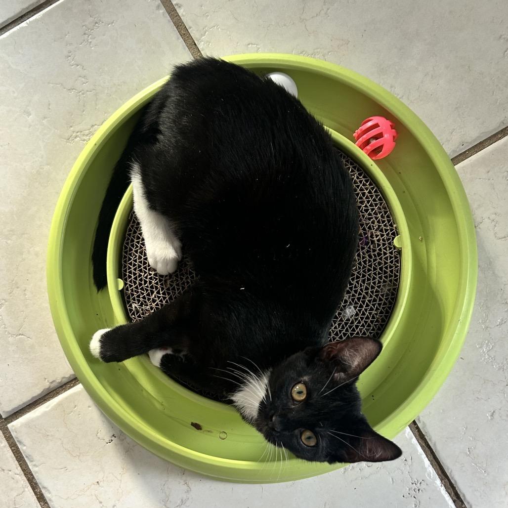 Lida — thumbnail 5