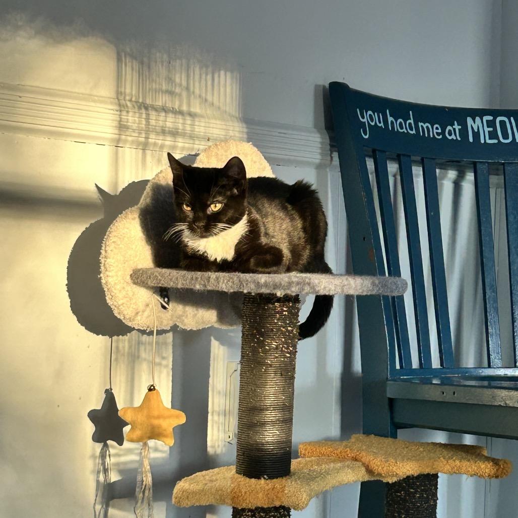 Lida — thumbnail 6