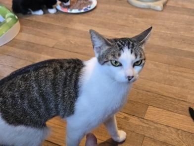 Sylvia — thumbnail 5