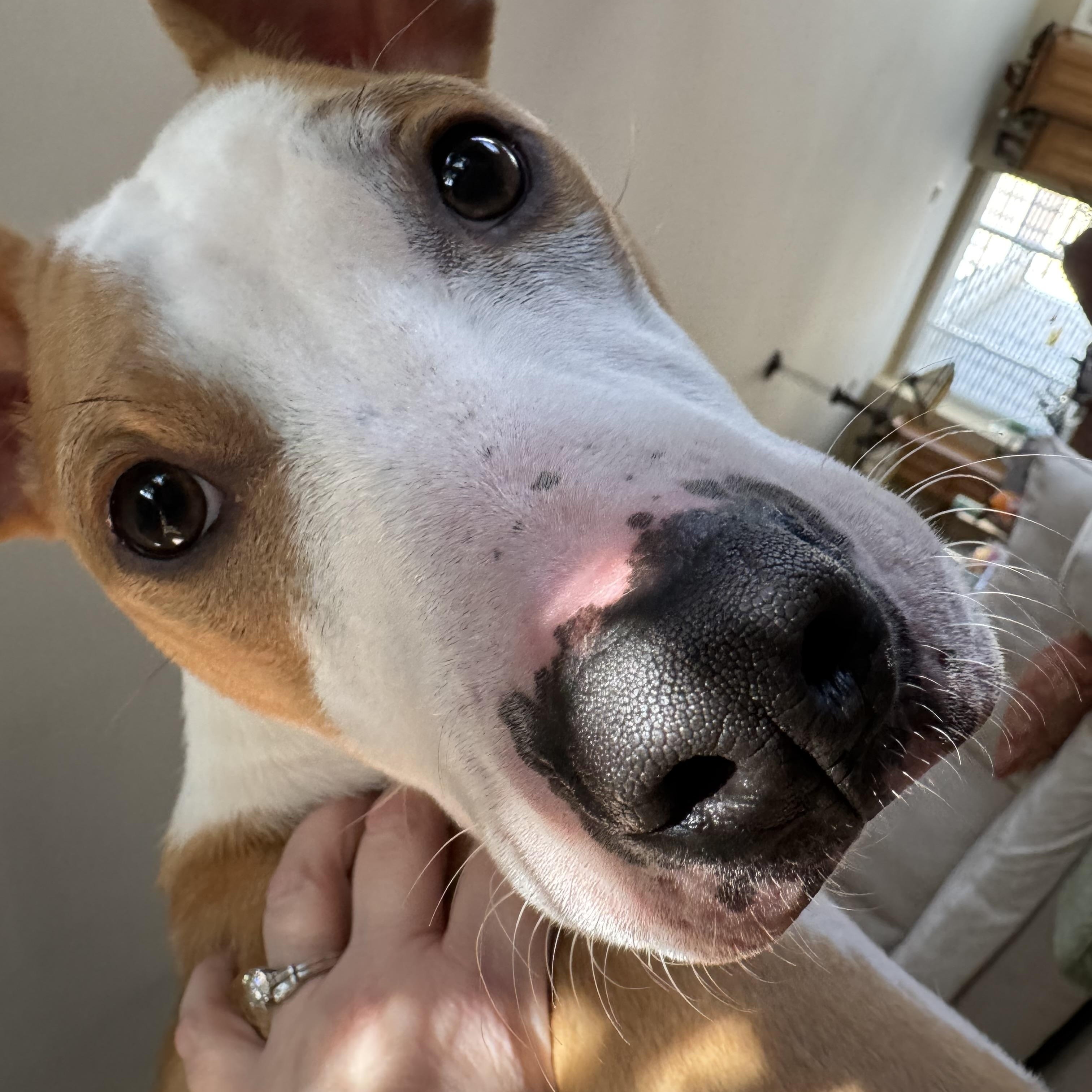 Billy