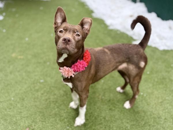 Stoney — thumbnail 2