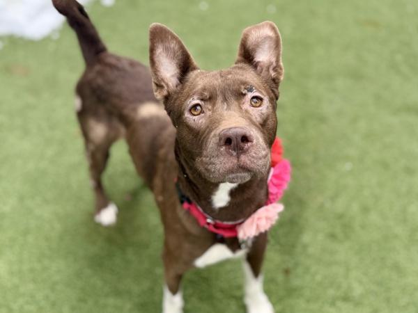 Stoney — thumbnail 3