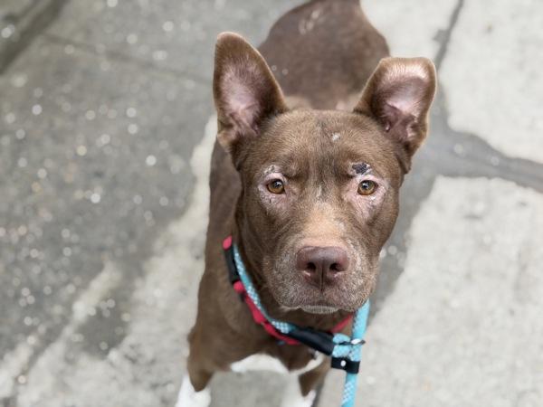 Stoney — thumbnail 4