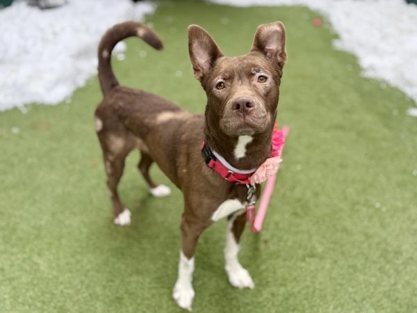 Stoney — thumbnail 5