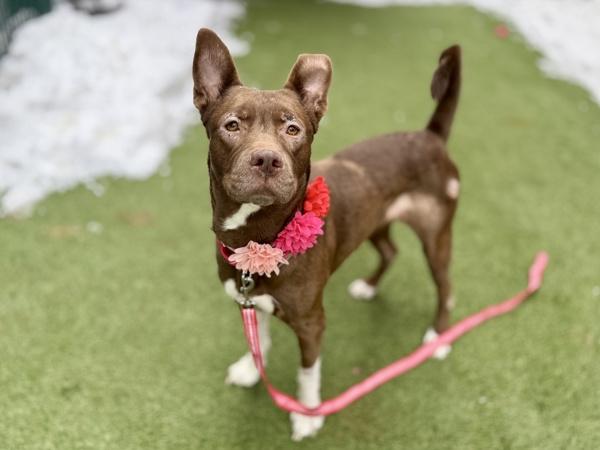 Stoney — thumbnail 6