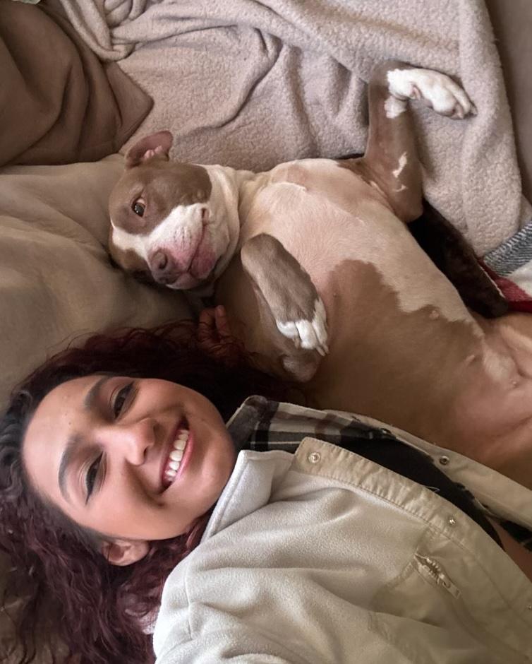 Enlarge Kandice, a Adoptable mixed breed in Montclair, NJ image 6/6