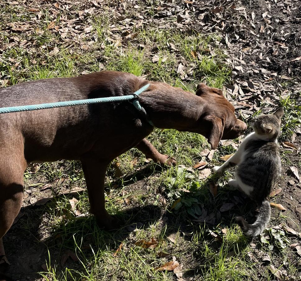 Turner — thumbnail 5