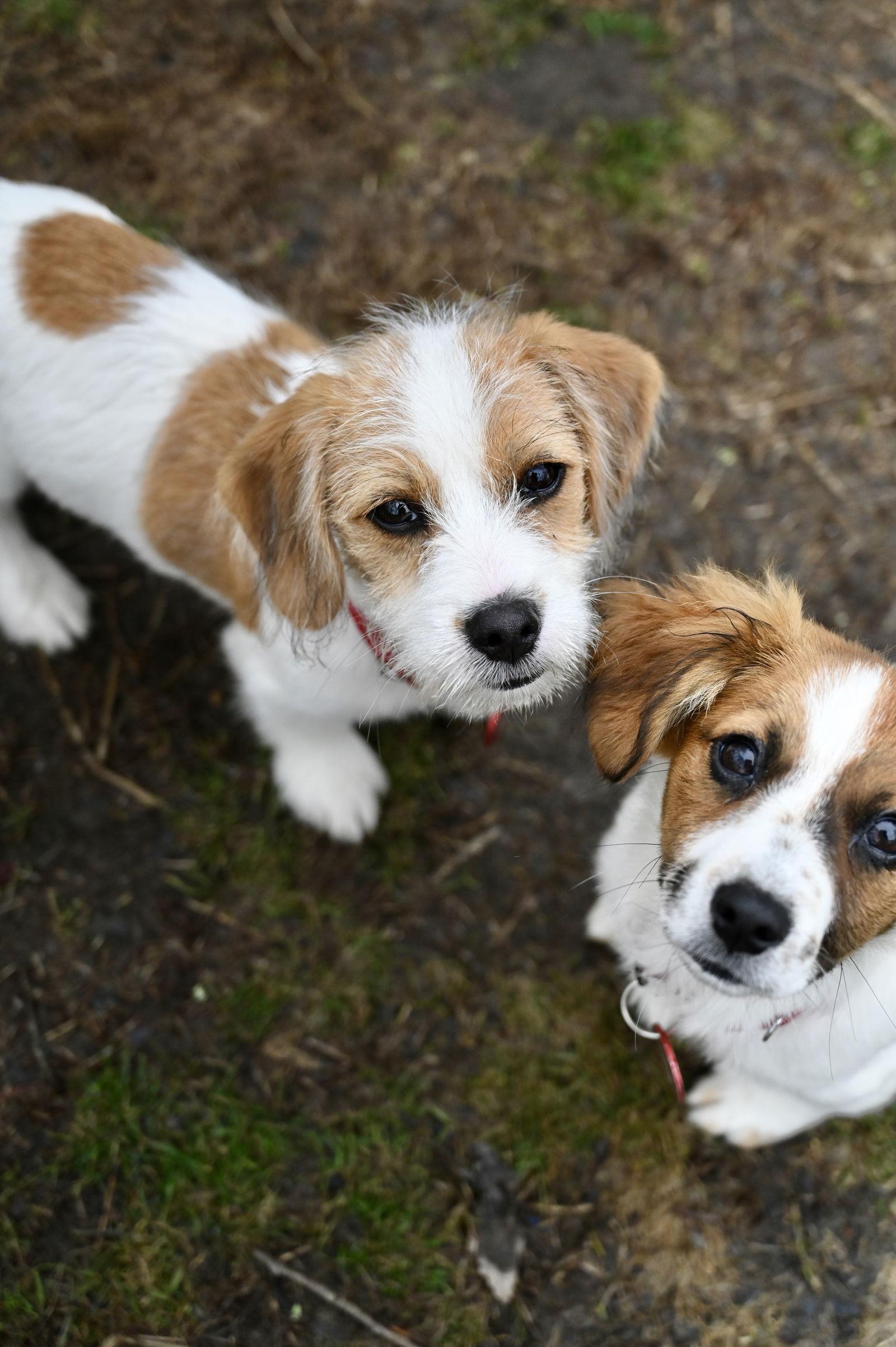 Gator Football *LOCAL* — thumbnail 3