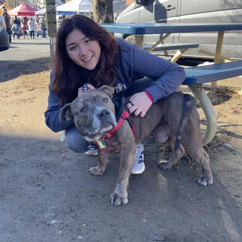 Biggs, a Adoptable Mixed Breed in Bangall, NY image 2/6