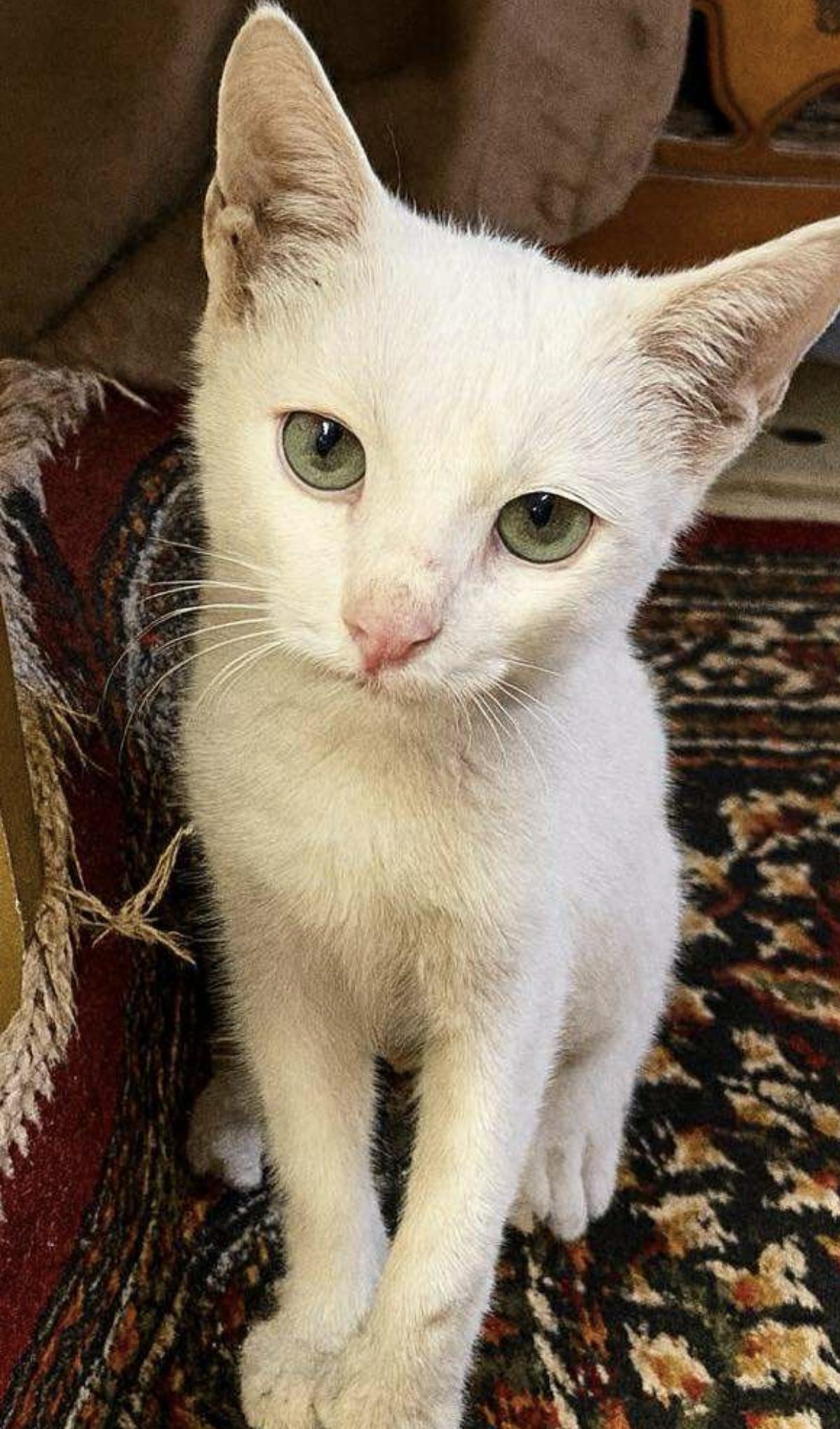 Kakar- please open your heart for this poor baby