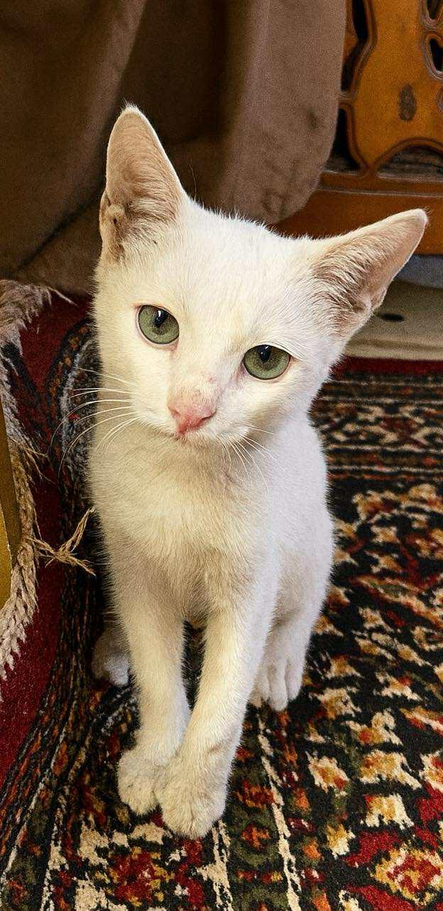 Kakar- please open your heart for this poor baby