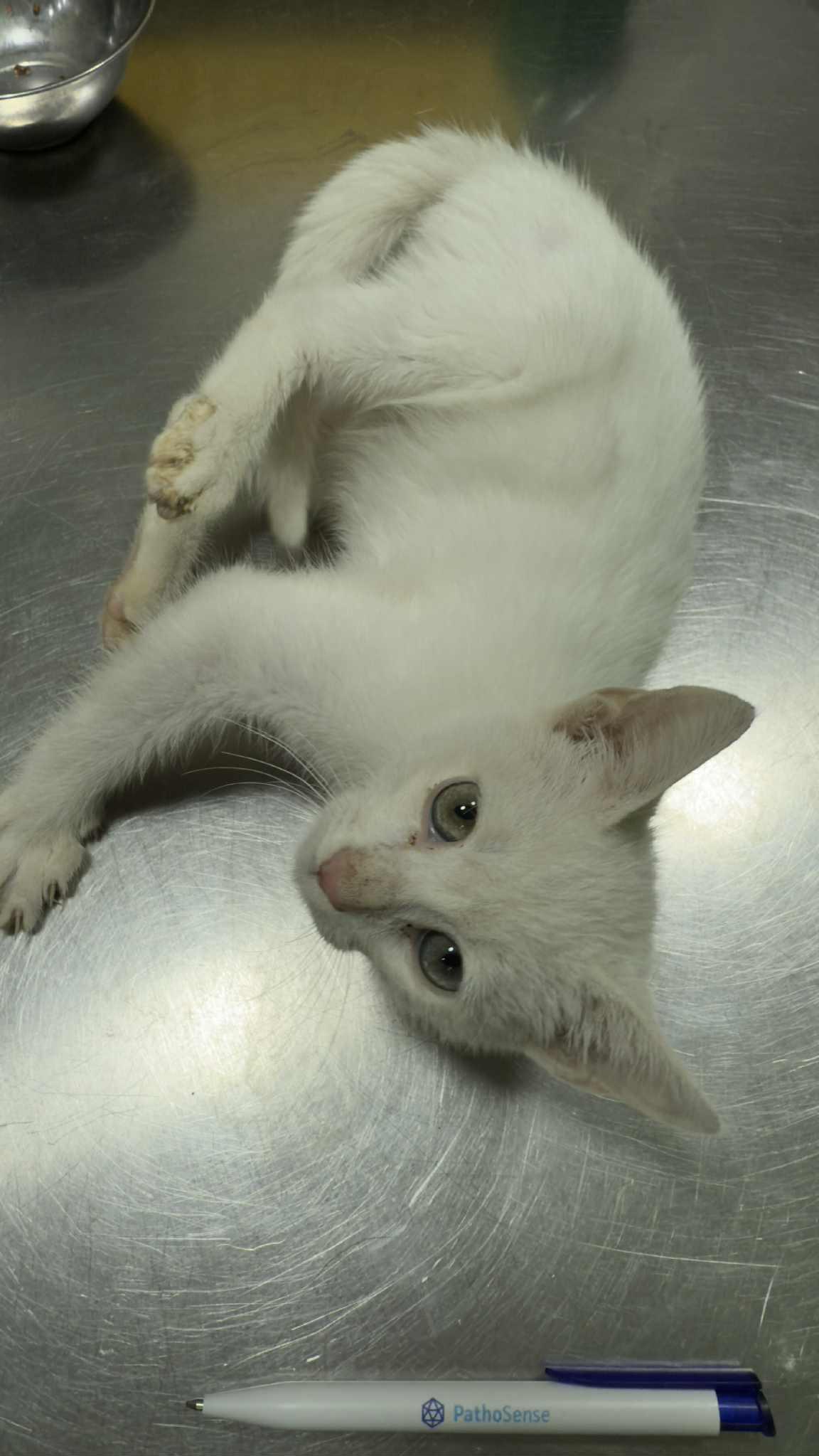 Kakar- please open your heart for this poor baby
