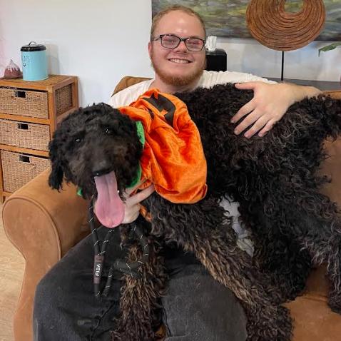 Enlarge ENZO, a Adoptable Standard Poodle in Indiantown, FL image 2/6