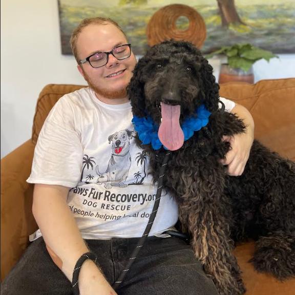 Enlarge ENZO, a Adoptable Standard Poodle in Indiantown, FL image 4/6