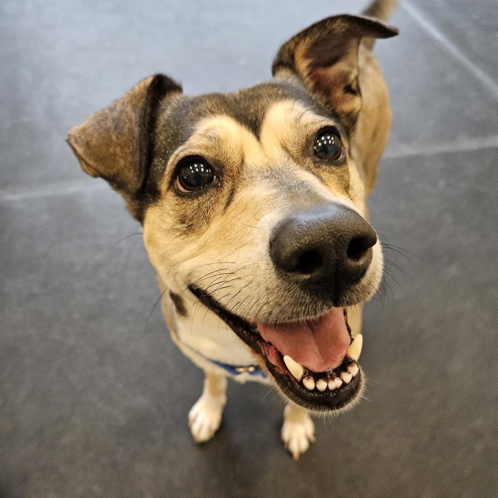 Sunny — thumbnail 3