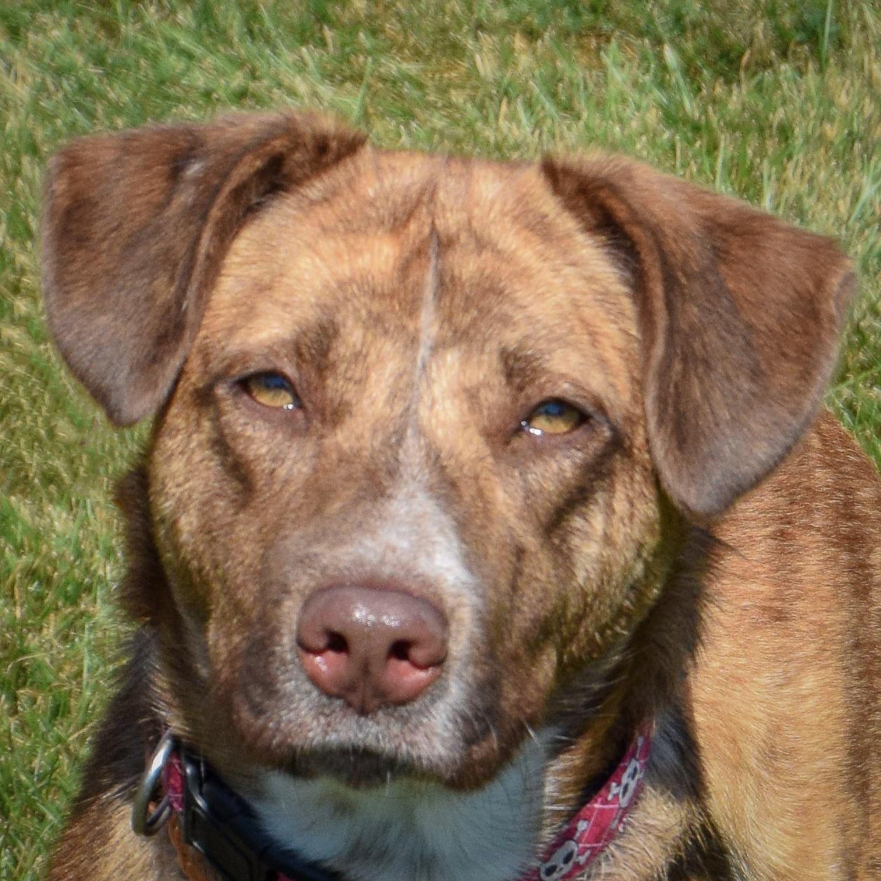 Maggie