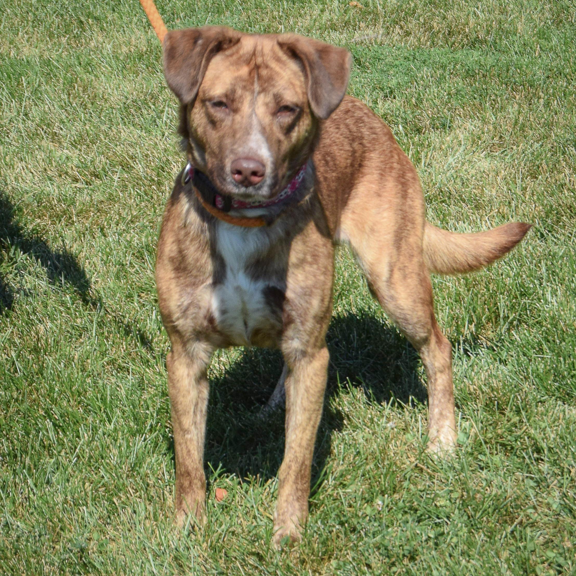 Maggie