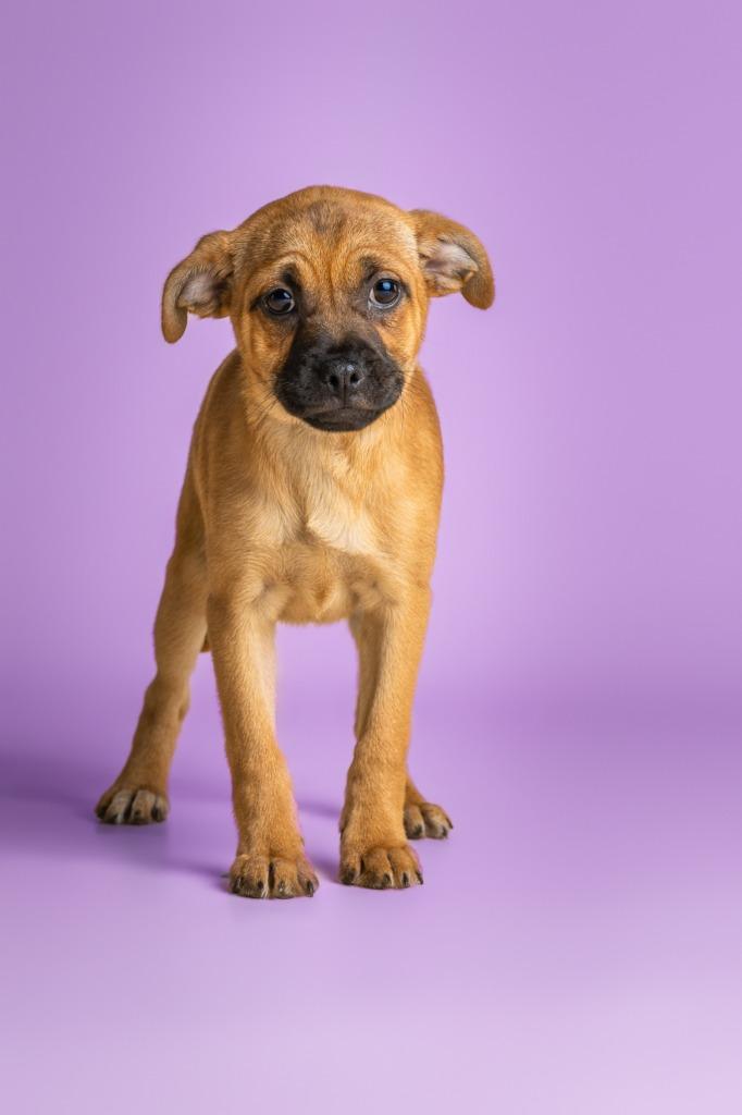 Bernadette — thumbnail 3