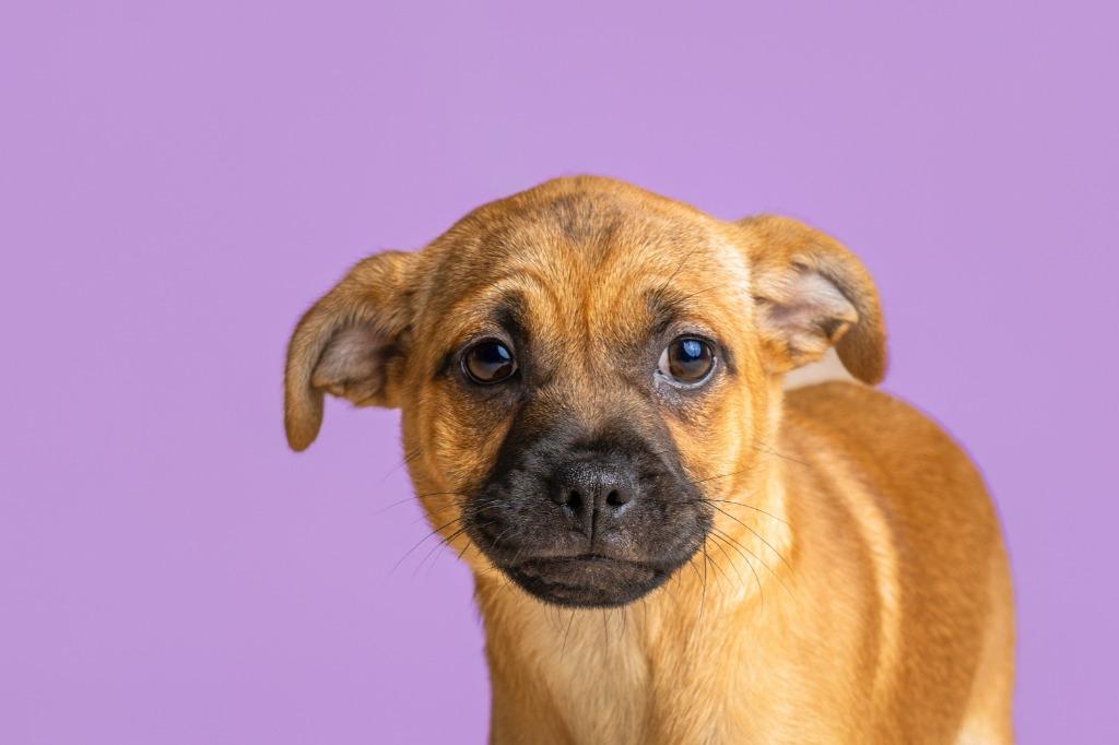 Bernadette — thumbnail 4