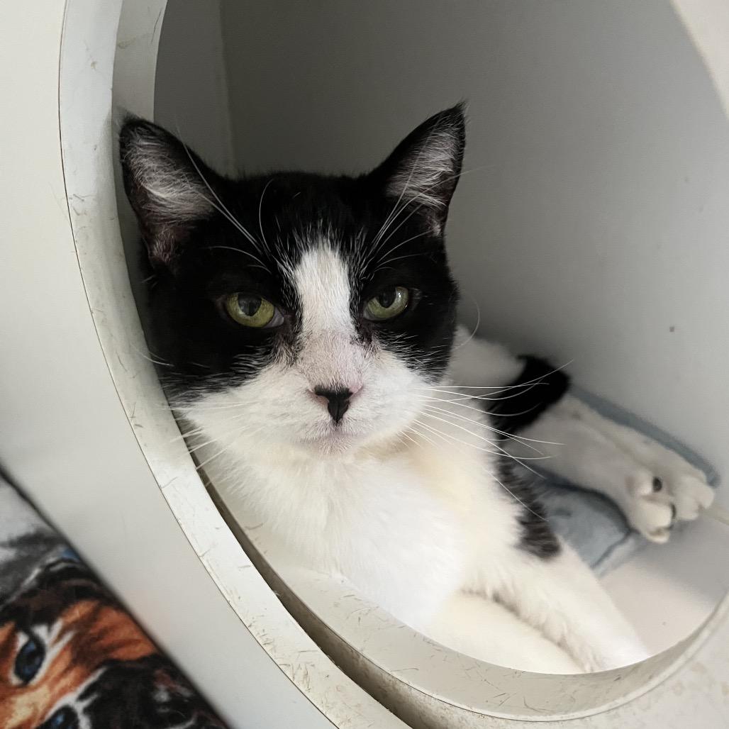 Little One — thumbnail 2