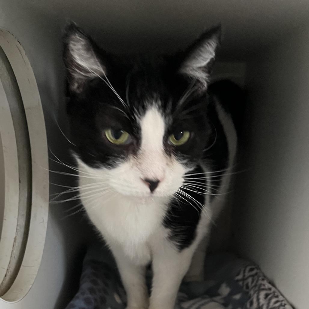 Little One — thumbnail 3