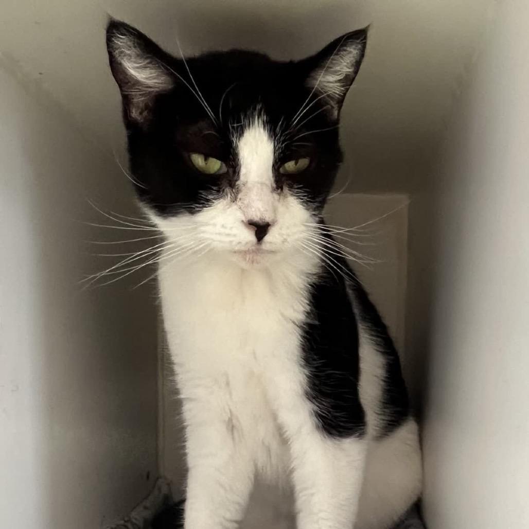 Little One — thumbnail 4