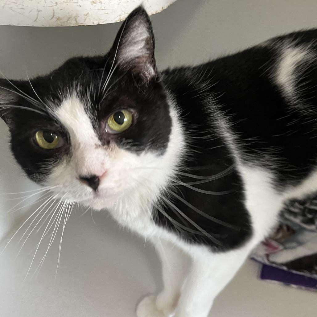 Little One — thumbnail 5