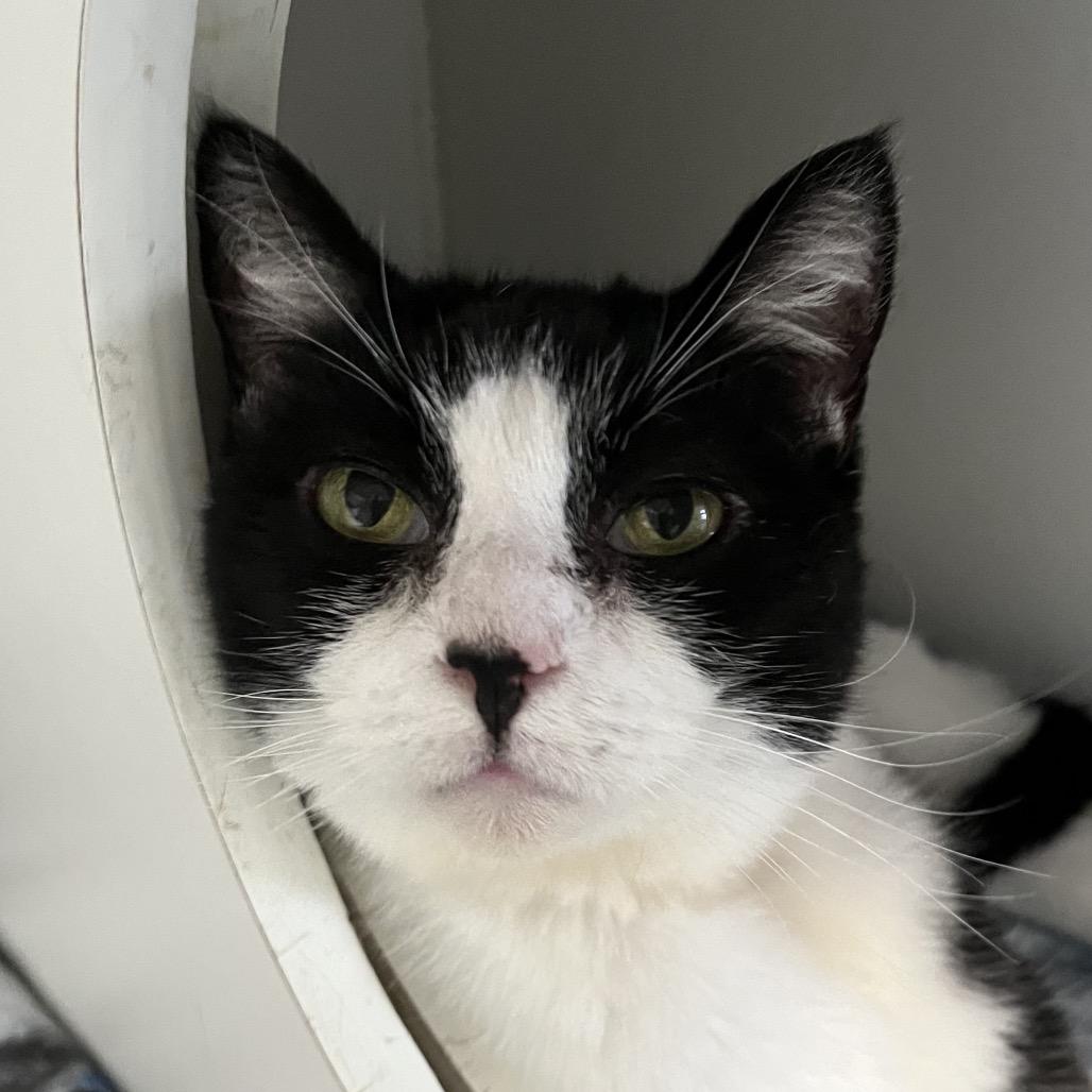 Little One — thumbnail 6