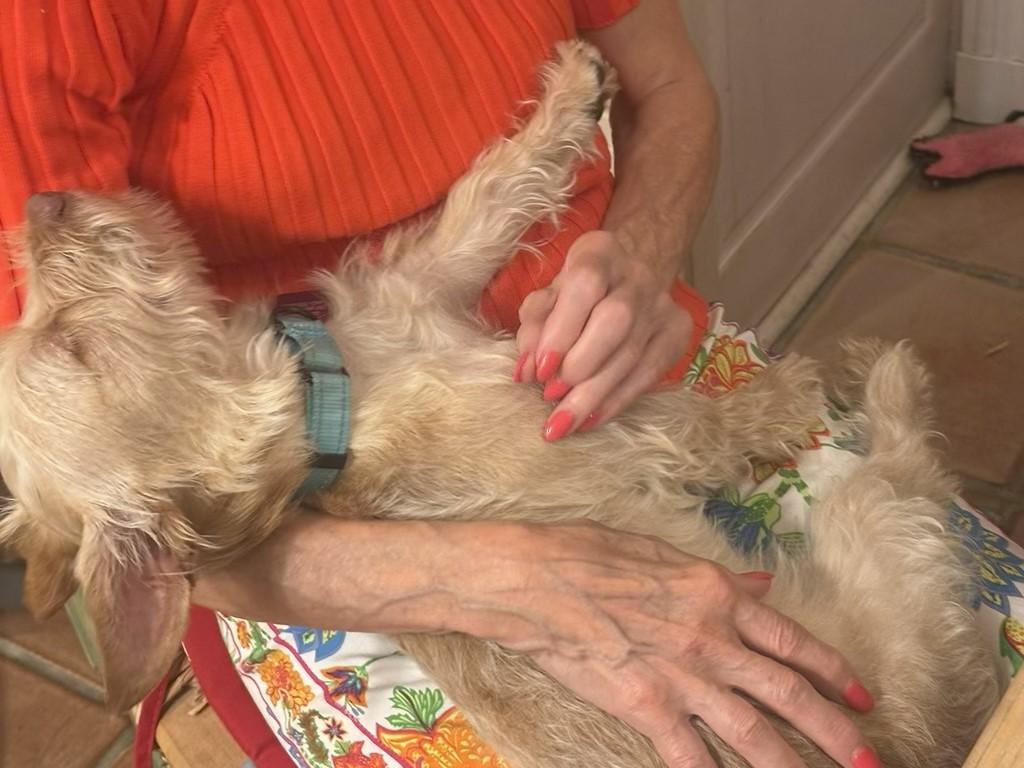Charlie thumbnail 2