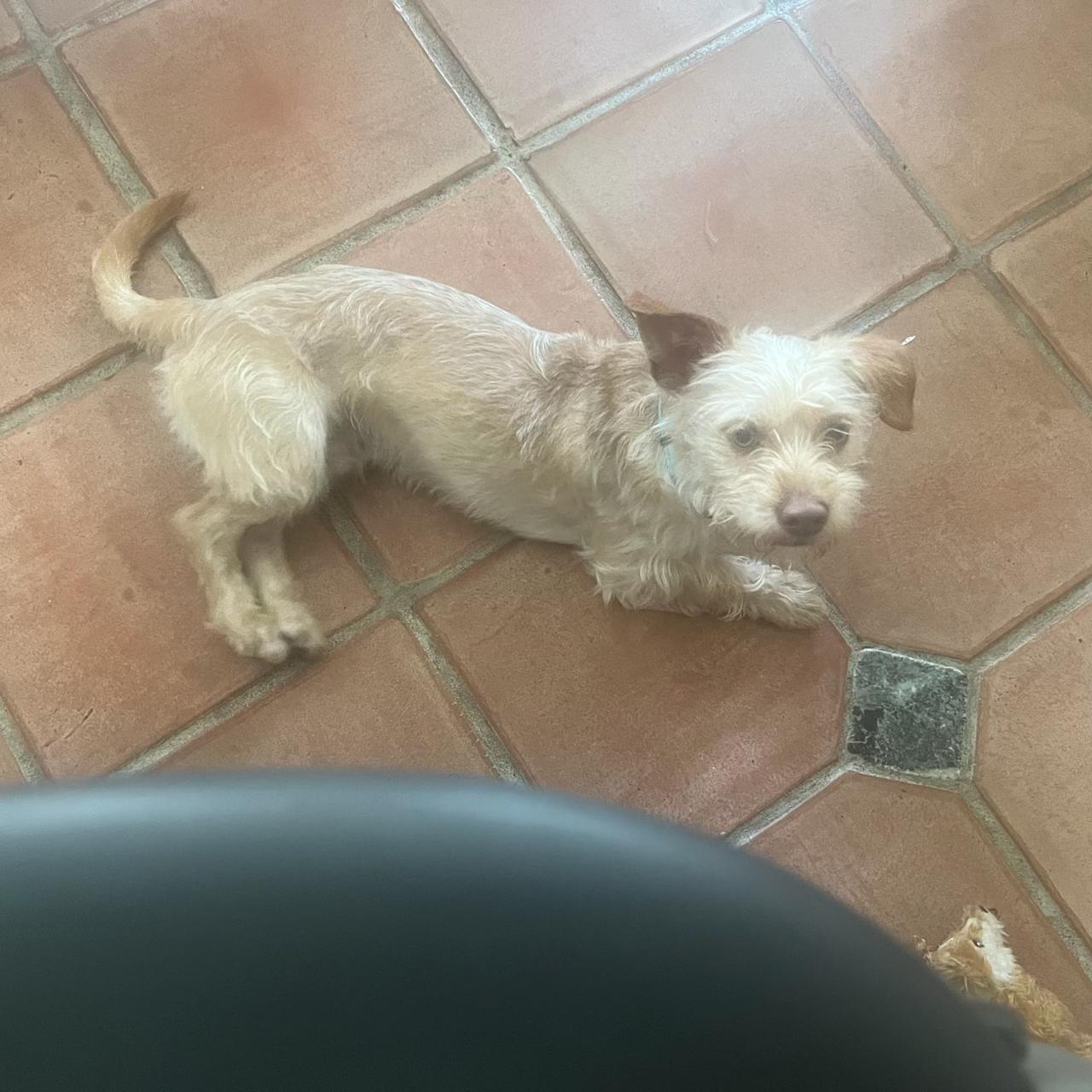Charlie