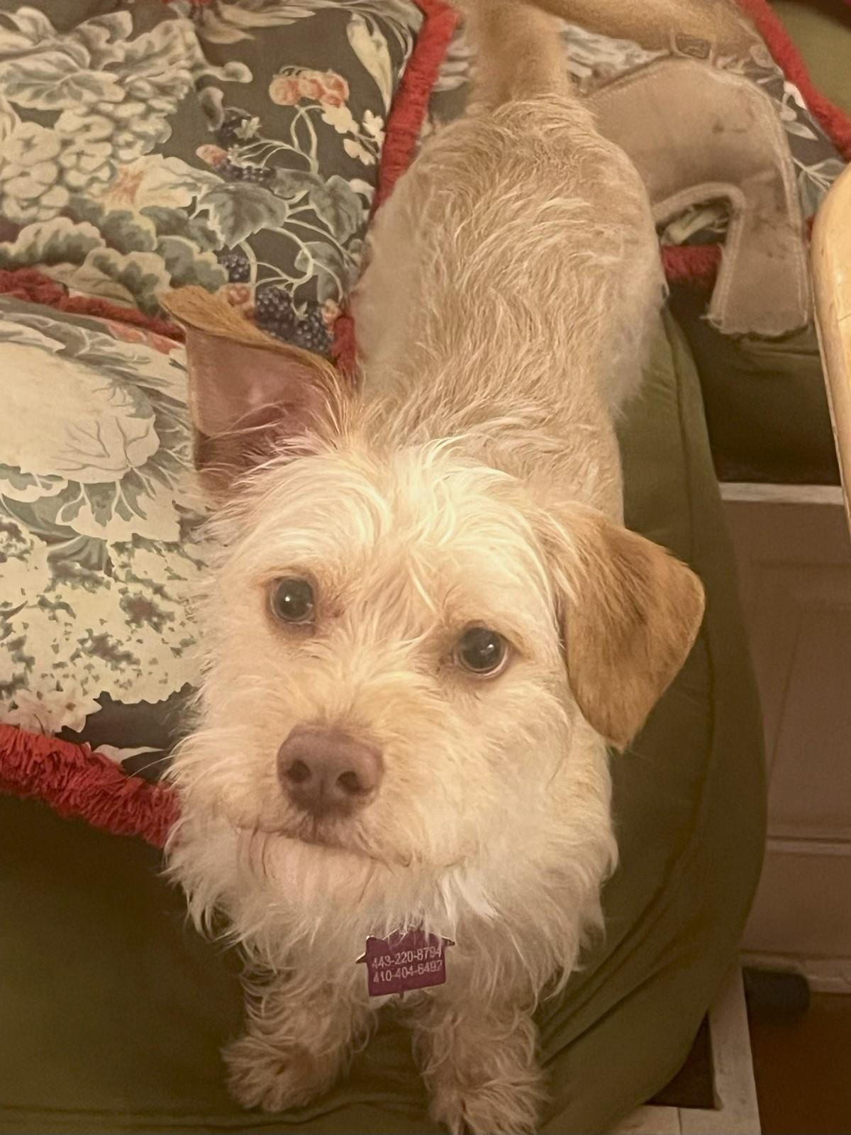 Charlie photo 3