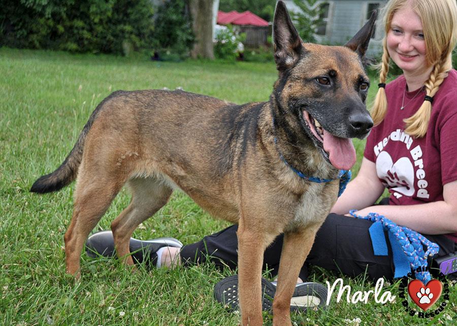 Marla photo 2