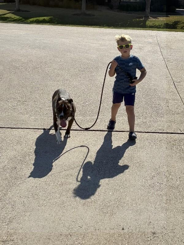 Lucky Bubby SO Squishy SO Cuddly — thumbnail 4