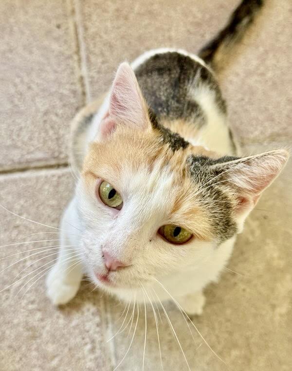 Precious