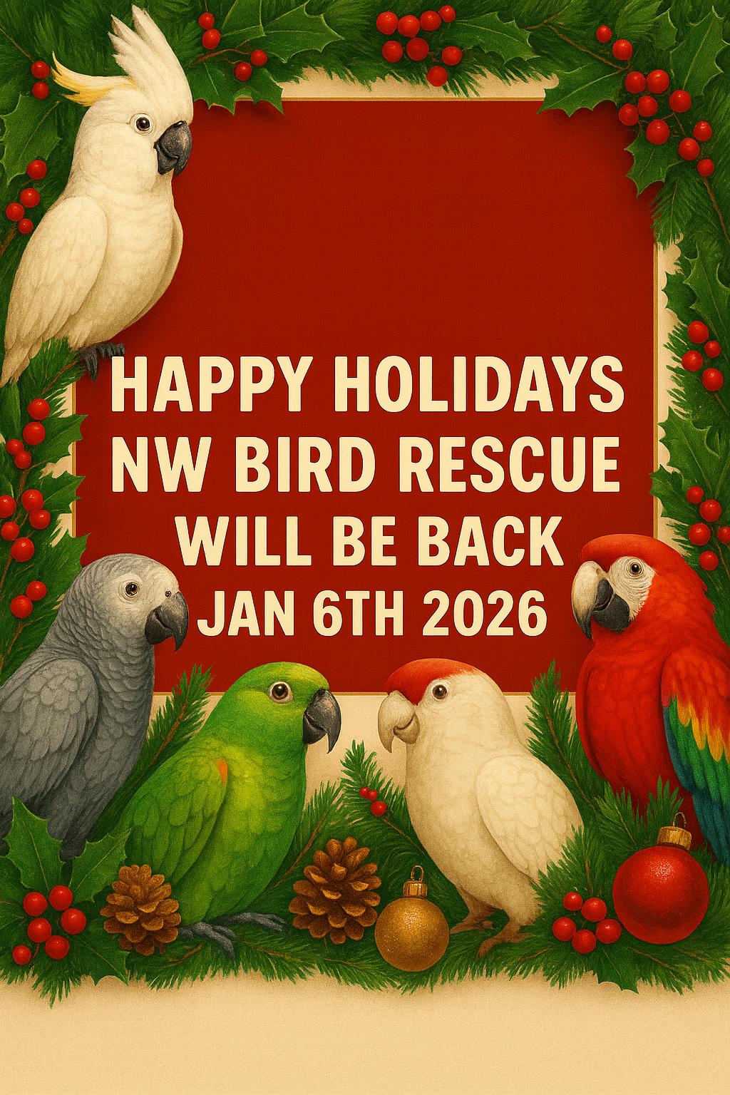 Enlarge Merry Christmas! & Happy Holidays !!, a Adoptable Cockatoo in Vancouver, WA image 1/2